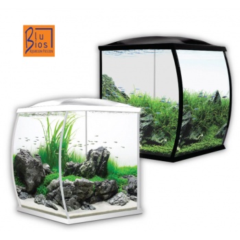 Roxy 32 litres blubios