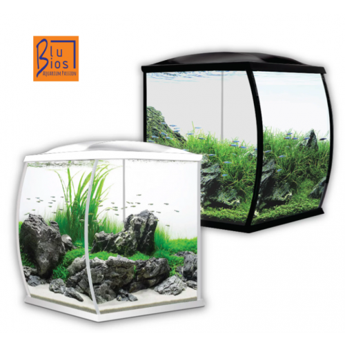 Roxy 32 litres blubios