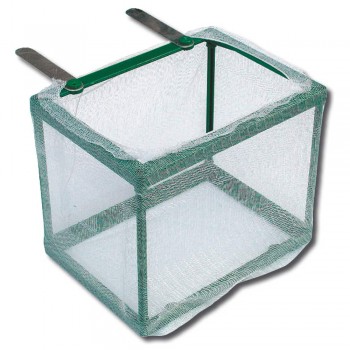 Chambre Changement de pépinière AMTRA 16.5x12x13.5