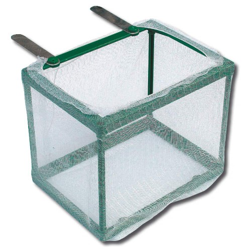 Chambre Changement de pépinière AMTRA 16.5x12x13.5