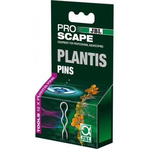 Plantis Pins Pins Pins Prancepe JBL