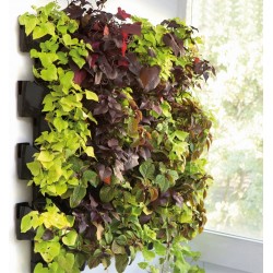 Parete vegetale 12 vasetti VERSA GARDEN - green wall - Aquael
