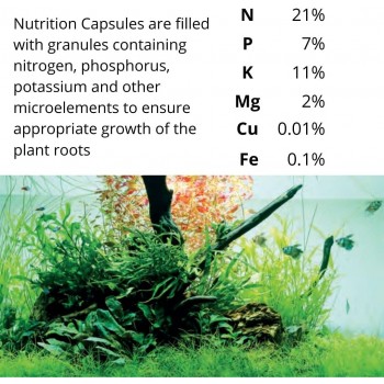 Capsules de nutrition 10 onglets fétitionnels pour... 2