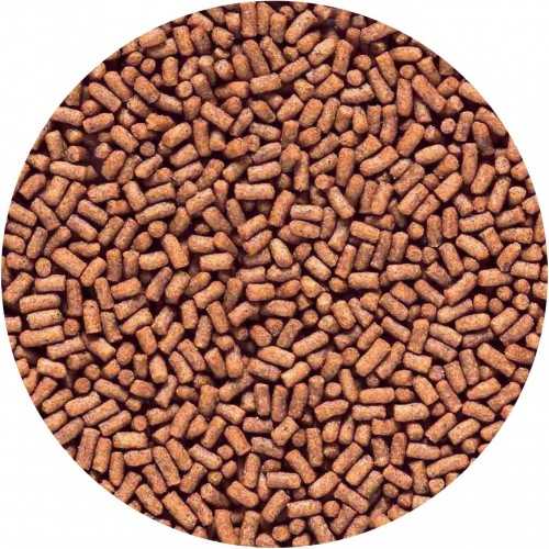 Feed for Goldfish Saki-Hikari Fancy