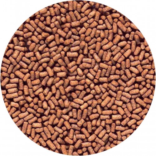 Nourrir pour Goldfish Saki-Hikari Fantaisie