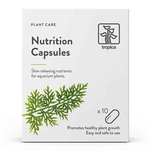 Nutrition 10 Capsules Tropica tab fetilizer roots