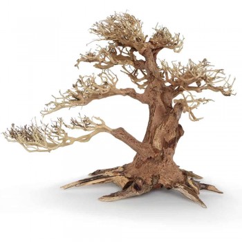 Bonsai 40 cm Wind 4 LG