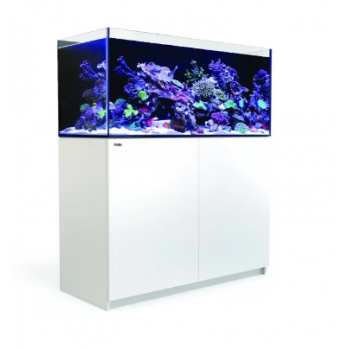 RED SEA - REEFER 350 G2 - 273 LITRI