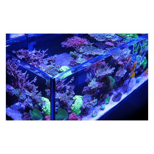 Red Sea - Reefer 350 G2 - 273 liters