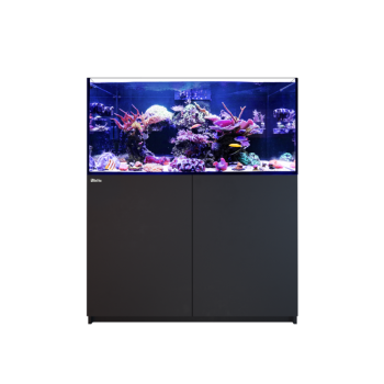 RED SEA - REEFER 350 G2 - 273 LITRI 2