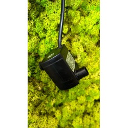 Pompe SP-230 pour le BIOS Bleu Genius / Nanux Rock Blue