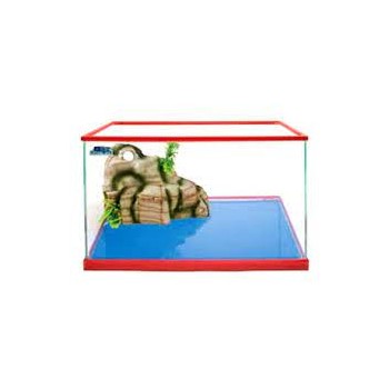 Carina 40 Tortue Blubios