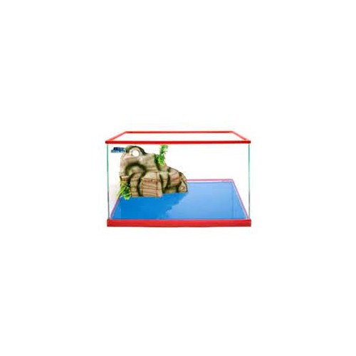Carina 40 Tortue Blubios
