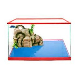 Carina 40 Tortue Blubios