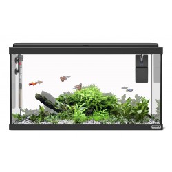 Moby Dick Aquarium 60 New 58L Sicce
