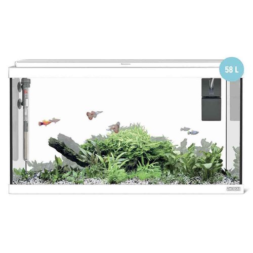 Sicce Acquario Moby Dick 60 New 58 Litri 60x30x34 cm