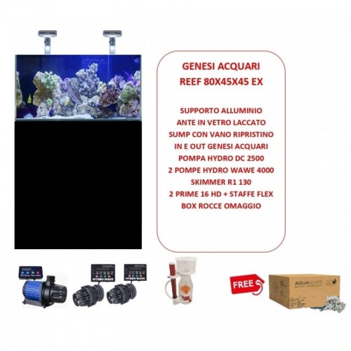 Marine aquarium 160 L REEF PLUS 80X45X45 CM COMPLEY OF TECHNICAL - EXTRAKE VETER WITH SUMP AND SUPPORT Genesi