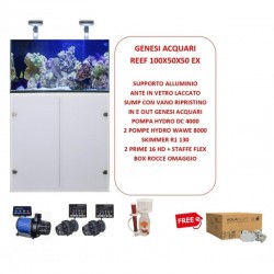 ACQUARIO MARINO 250 L. REEF PLUS 100X50X50 CM COMPLETE DI TECNICA - VETRO EXTRACHIARO WITH SUMP AND SUPPORT- GENESI