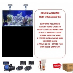 ACQUARIO MARINO 250 L. REEF PLUS 100X50X50 CM COMPLETE DI TECNICA - VETRO EXTRACHIARO WITH SUMP AND SUPPORT- GENESI