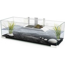 Tartarium 80 Askoll