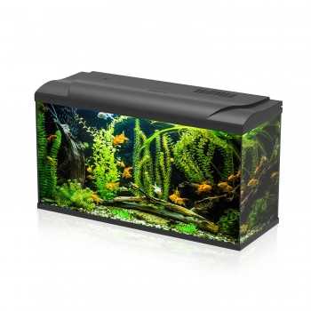 Simply LED 100 Complete Aquarium - AQPET