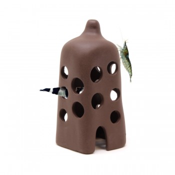 Tall Hut Shrimp Casetta Aquavitro