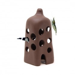 Tall Hut Shrimp Casetta Aquavitro