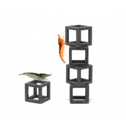 Cubes Casetta per gamberetti Aquavitro