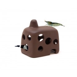 Petit cottage crevette de la cabane Aquavitro