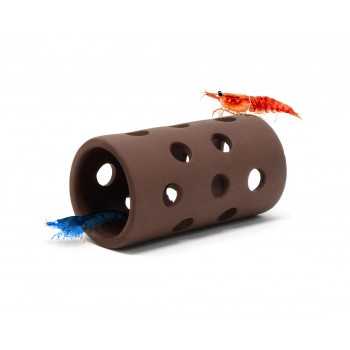 Tube Shrimp cottage Aquavitro