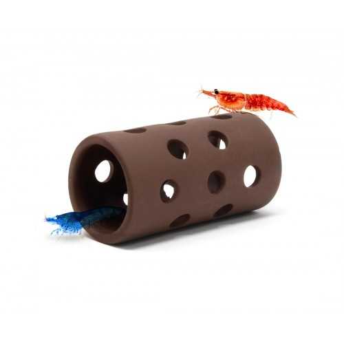 Tube Shrimp cottage Aquavitro