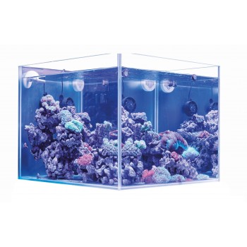 Aquarium marin 80 cm 240 l complet compact AGP UNICA 2