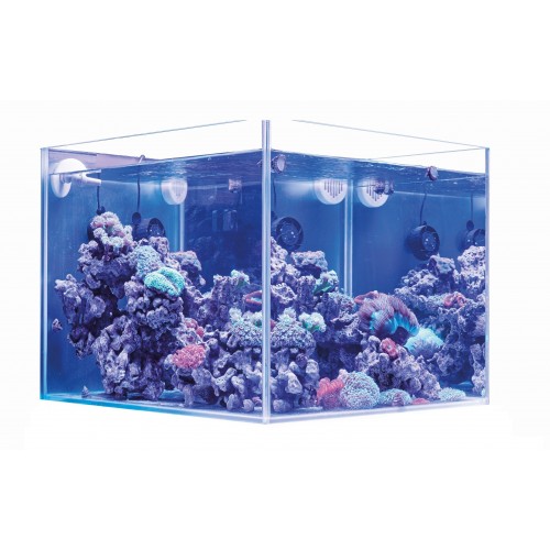 Marine aquarium 80 cm 240 L Full Compact AGP Unica