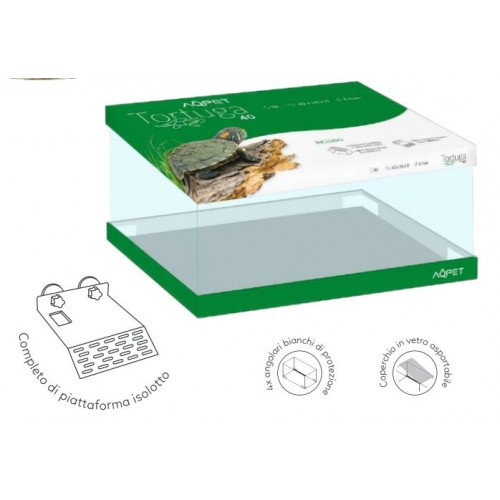 Tortuga turtle with glass lid