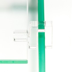 Tortuga turtle with glass lid