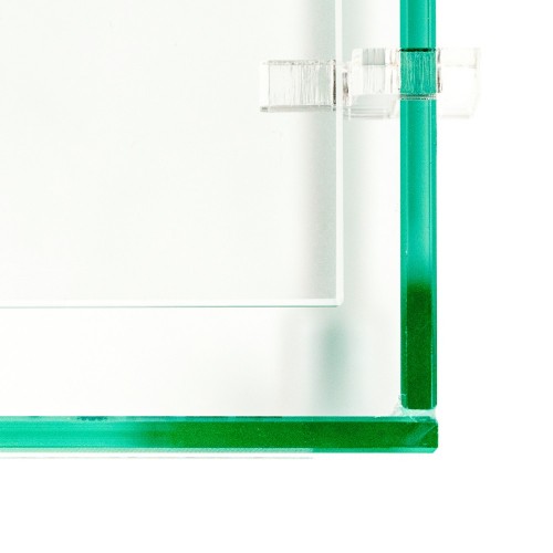 Tortuga turtle with glass lid