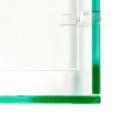 Tortuga turtle with glass lid