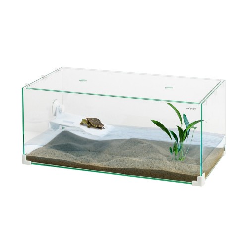 Tortuga tartarughiera con coperchio in vetro