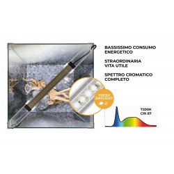 Newa Ego LID 30, Cubic Crystal Aquarium for Neofiti - Newa