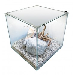 Newa Ego Lid 50, Cubic Crystal Aquarium for Neophytes - Newa
