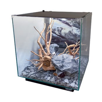 Newa EGO lid 50, acquario cubico in cristallo per neofiti... 2