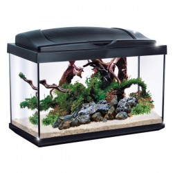 Newa Hobby black, complete crystal aquarium for neophytes - Newa