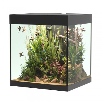 Askoll Opera 80 only bathtub 2