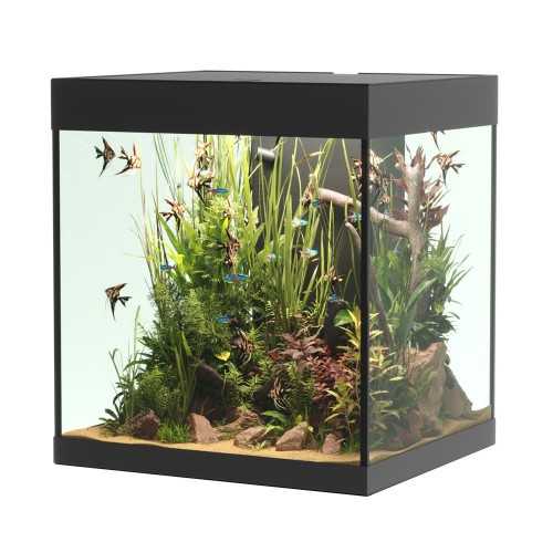 Askoll Opera 80 Bank Only