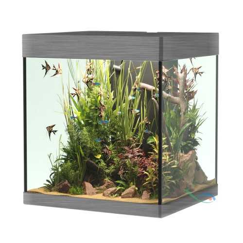 Askoll Opera 80 Bank Only