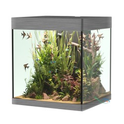 Askoll Opera 80 only bathtub