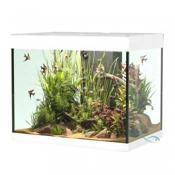 Askoll Opera 110 Bank Only