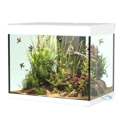 Askoll Opera 110 Bank Only