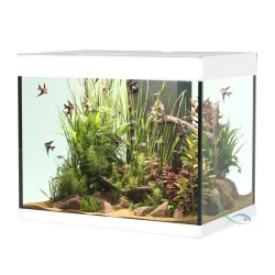 Askoll Opera 110 only bath