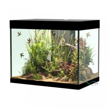 Askoll Opera 110 Bank Only 2